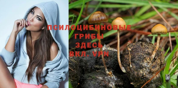 круглые Алексин