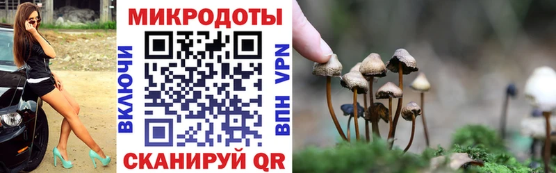 Галлюциногенные грибы Magic Shrooms  где купить наркотик  гидра вход  Палласовка 